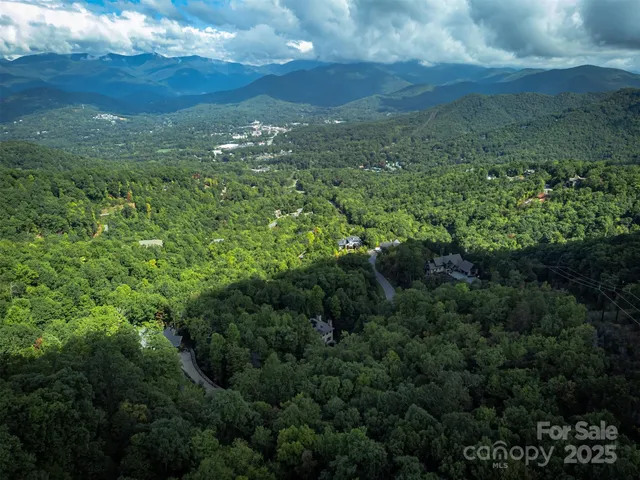 a view of a city with lush green forest