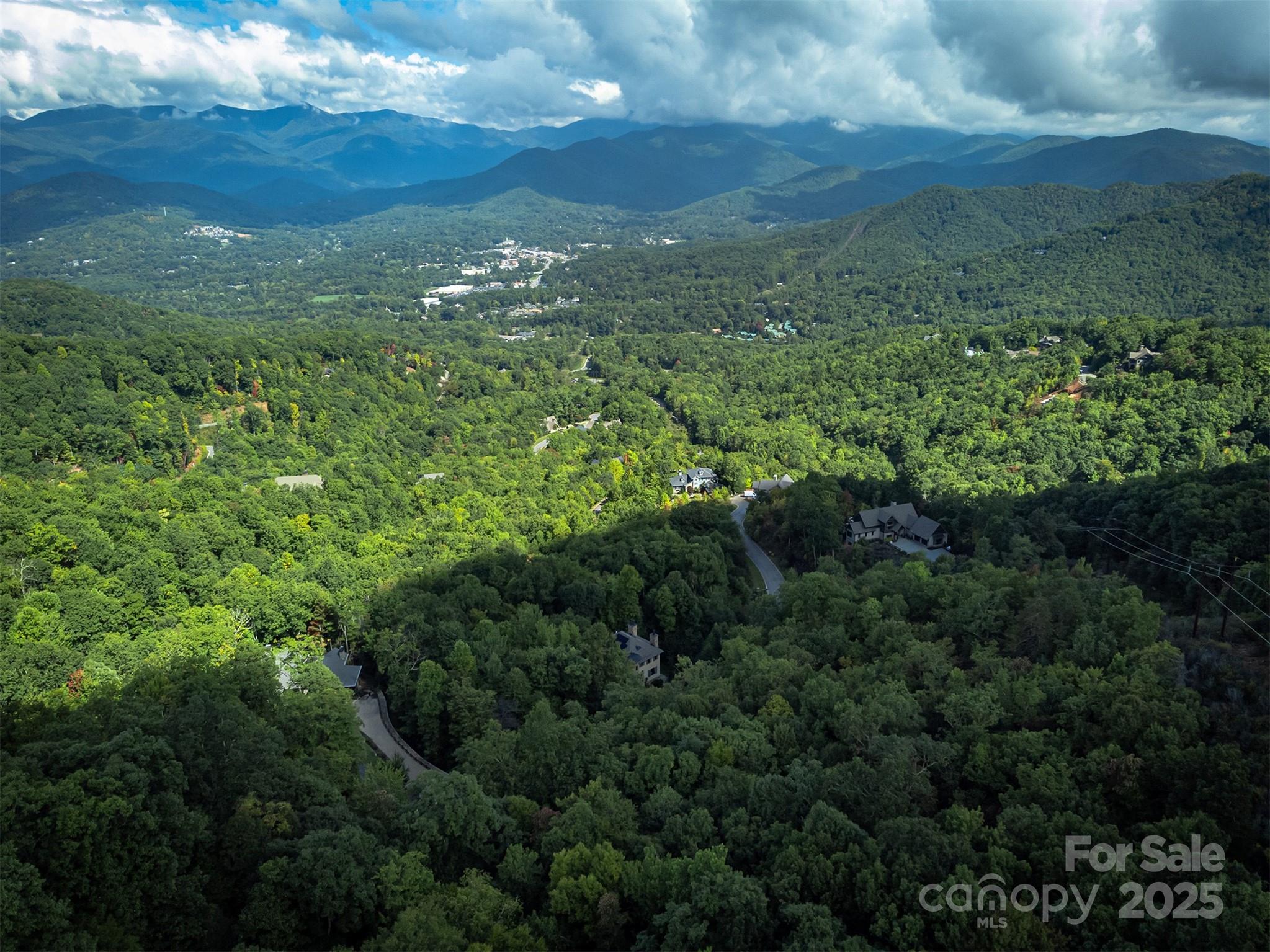 66 Sisters View Drive, Unit 159 Black Mountain, NC 28711 - Photo 27 of 35 a view of a city with lush green forest