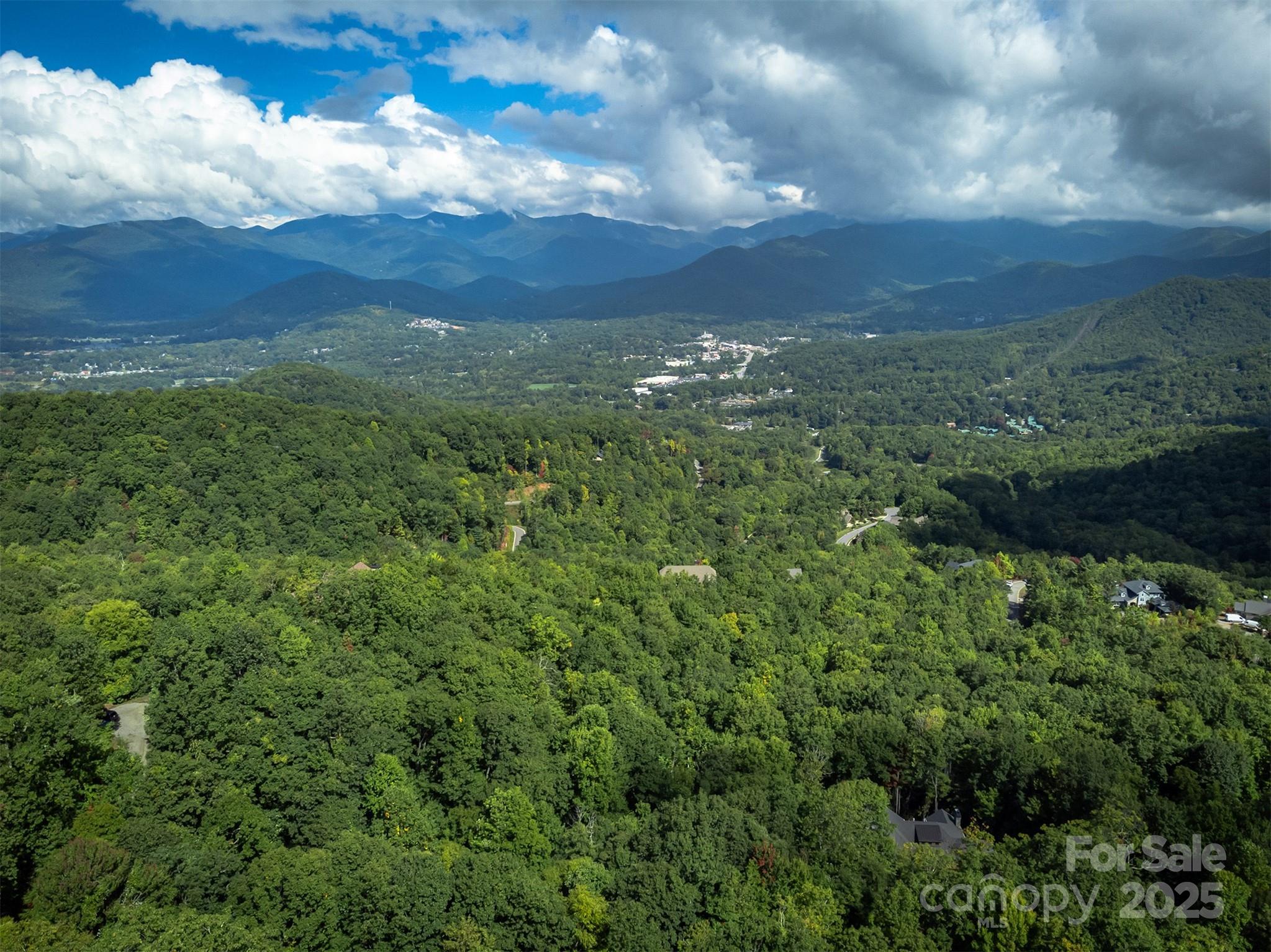 66 Sisters View Drive, Unit 159 Black Mountain, NC 28711 - Photo 28 of 35 a view of a yard with an outdoor space