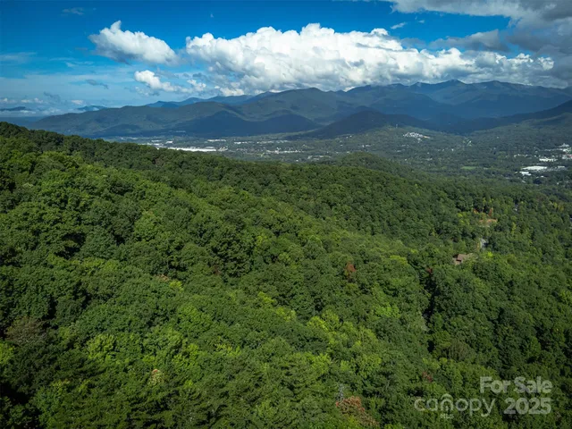 a view of a lush green forest with lots of trees