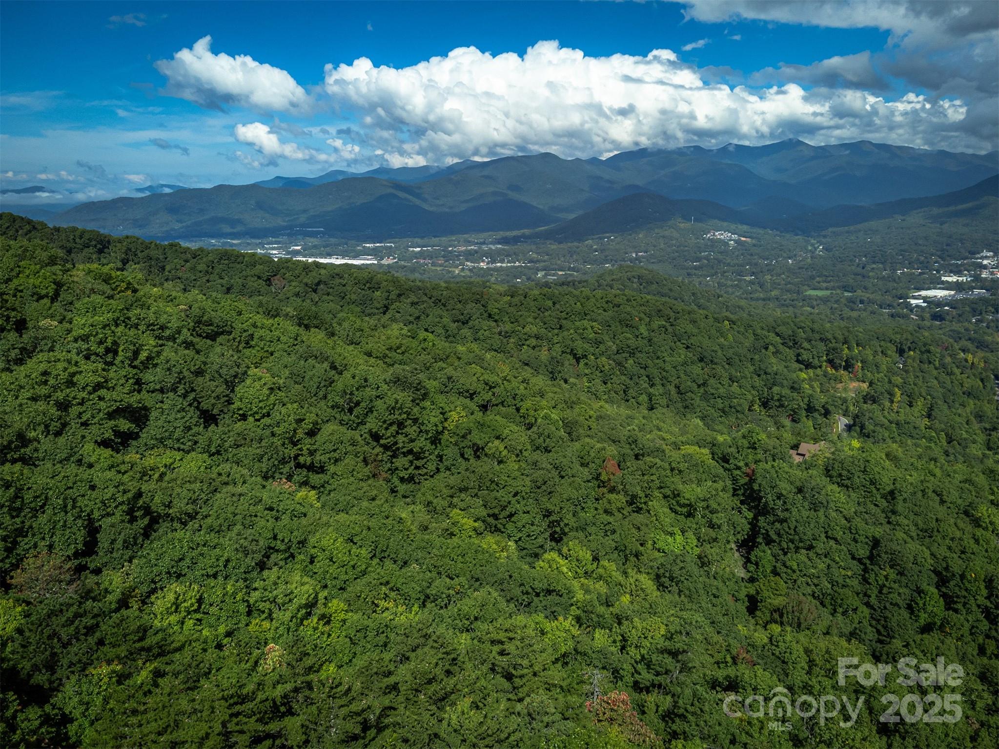 66 Sisters View Drive, Unit 159 Black Mountain, NC 28711 - Photo 29 of 35 a view of a lush green forest with lots of trees