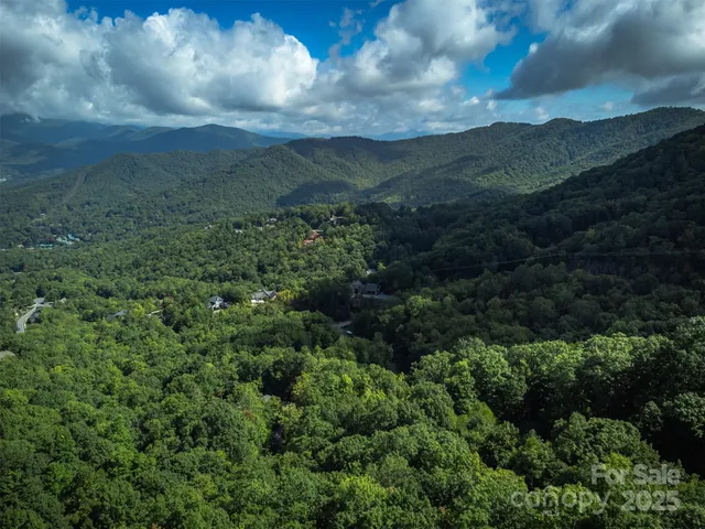 a view of a green field with lots of bushes