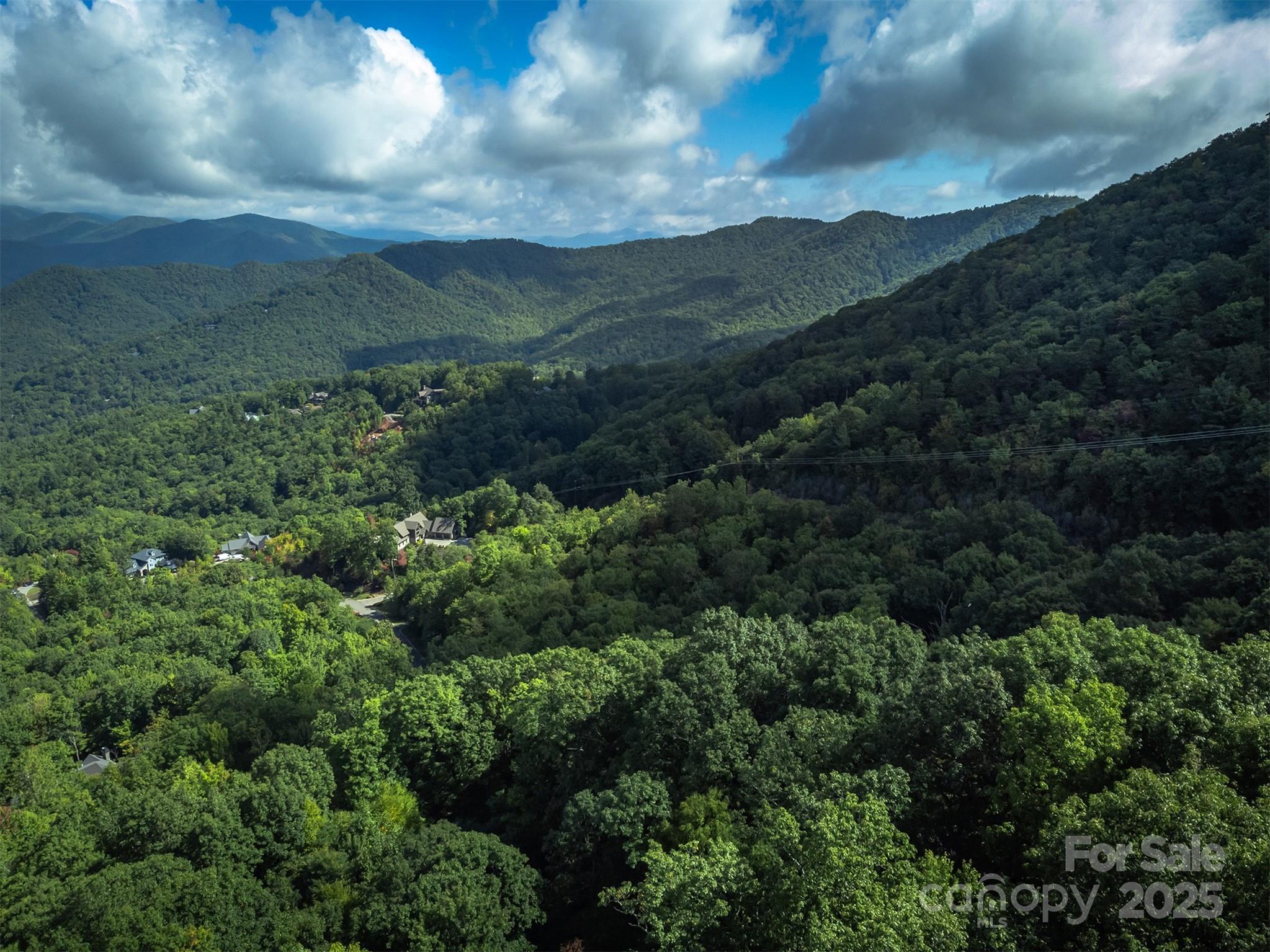 66 Sisters View Drive, Unit 159 Black Mountain, NC 28711 - Photo 31 of 35 a view of a city with lush green forest