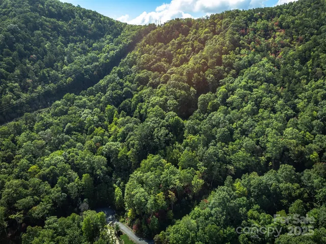 an aerial view of a forest with houses