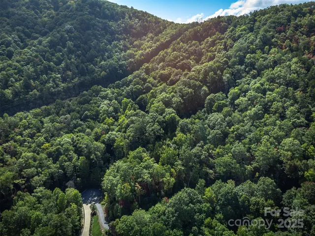 an aerial view of a forest with houses