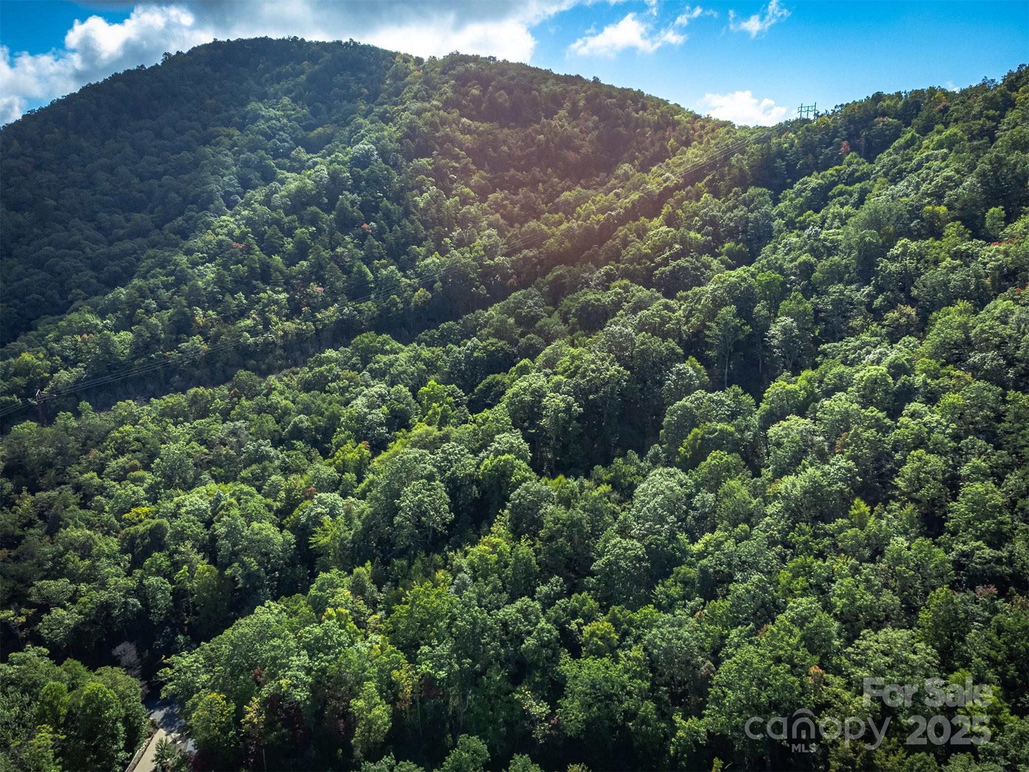 66 Sisters View Drive, Unit 159 Black Mountain, NC 28711 - Photo 35 of 35 an aerial view of a house