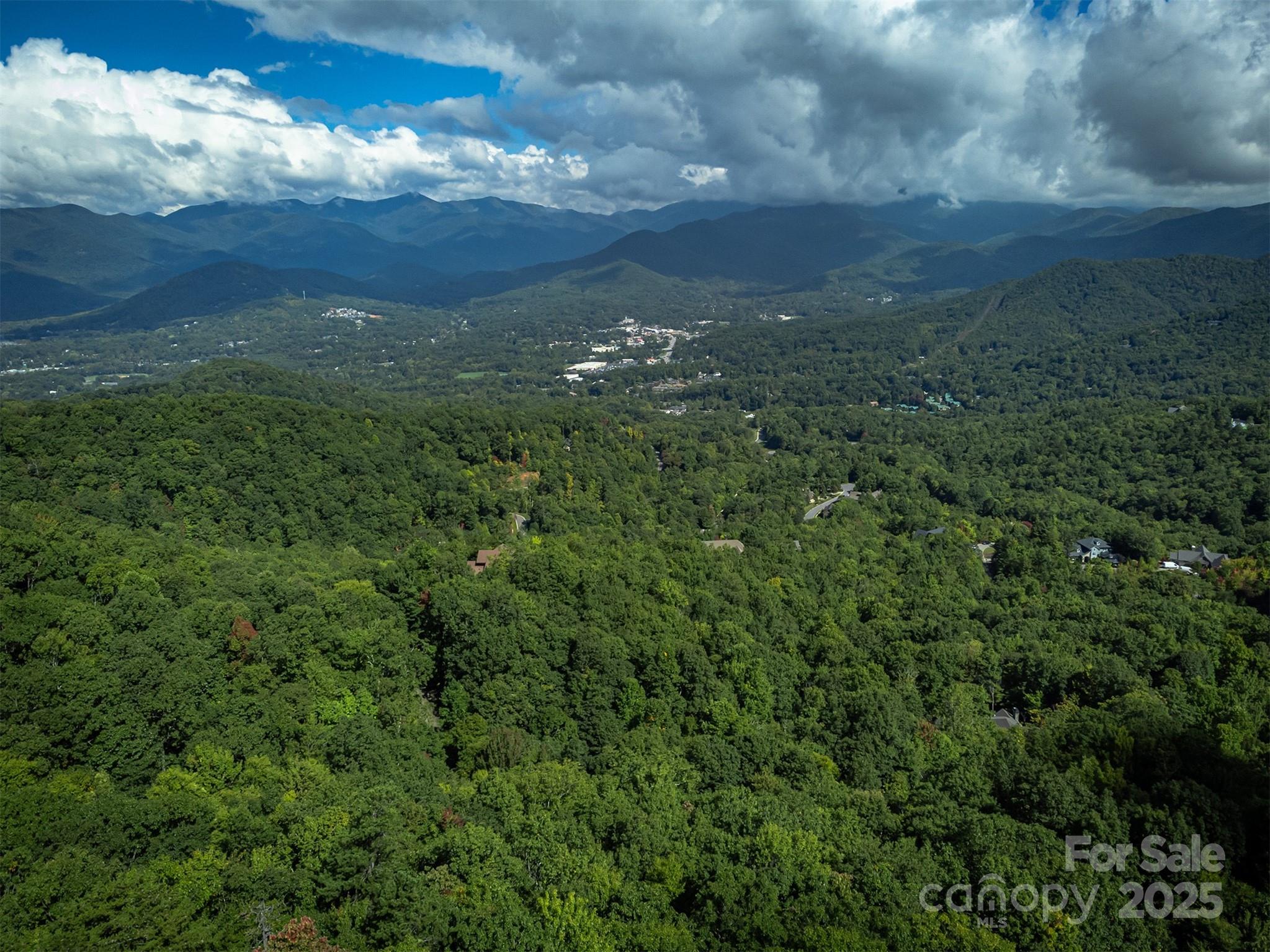 66 Sisters View Drive, Unit 159 Black Mountain, NC 28711 - Photo 4 of 35 a view of a big yard