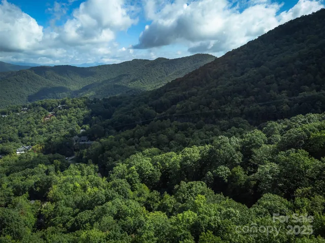 a view of a lot of trees