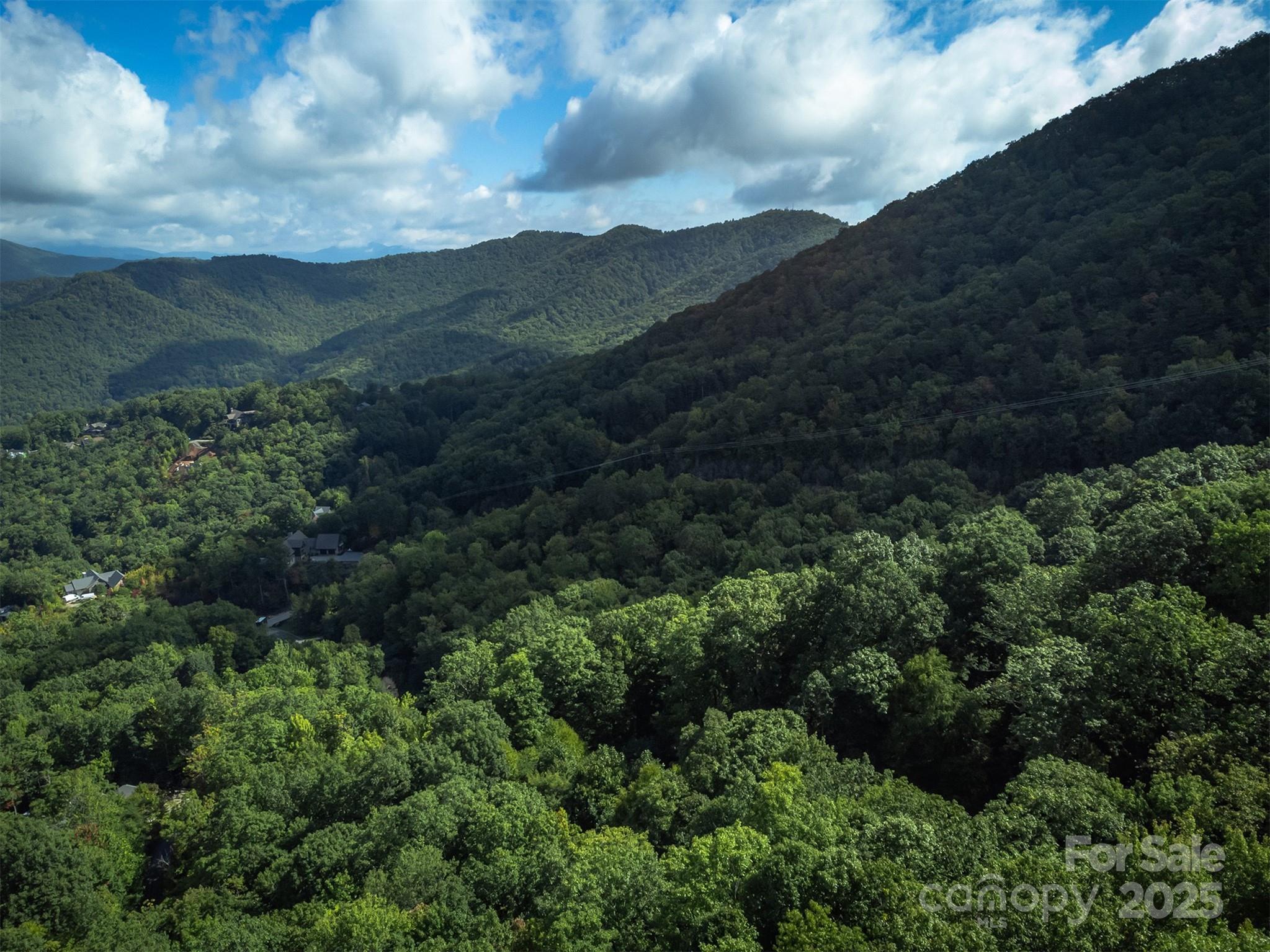 66 Sisters View Drive, Unit 159 Black Mountain, NC 28711 - Photo 5 of 35 a view of a lot of trees