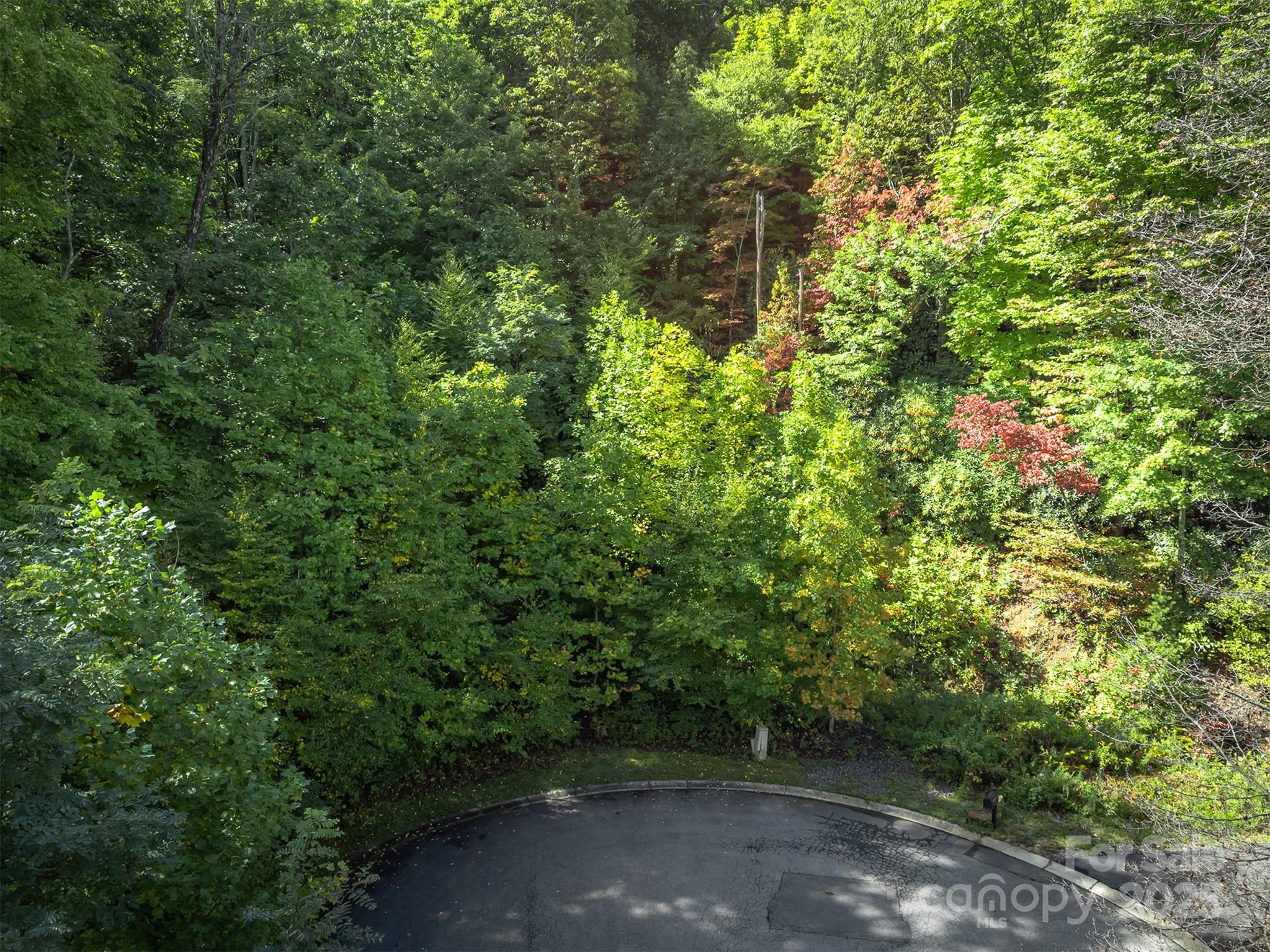 66 Sisters View Drive, Unit 159 Black Mountain, NC 28711 - Photo 6 of 35 a view of a yard with plants and trees