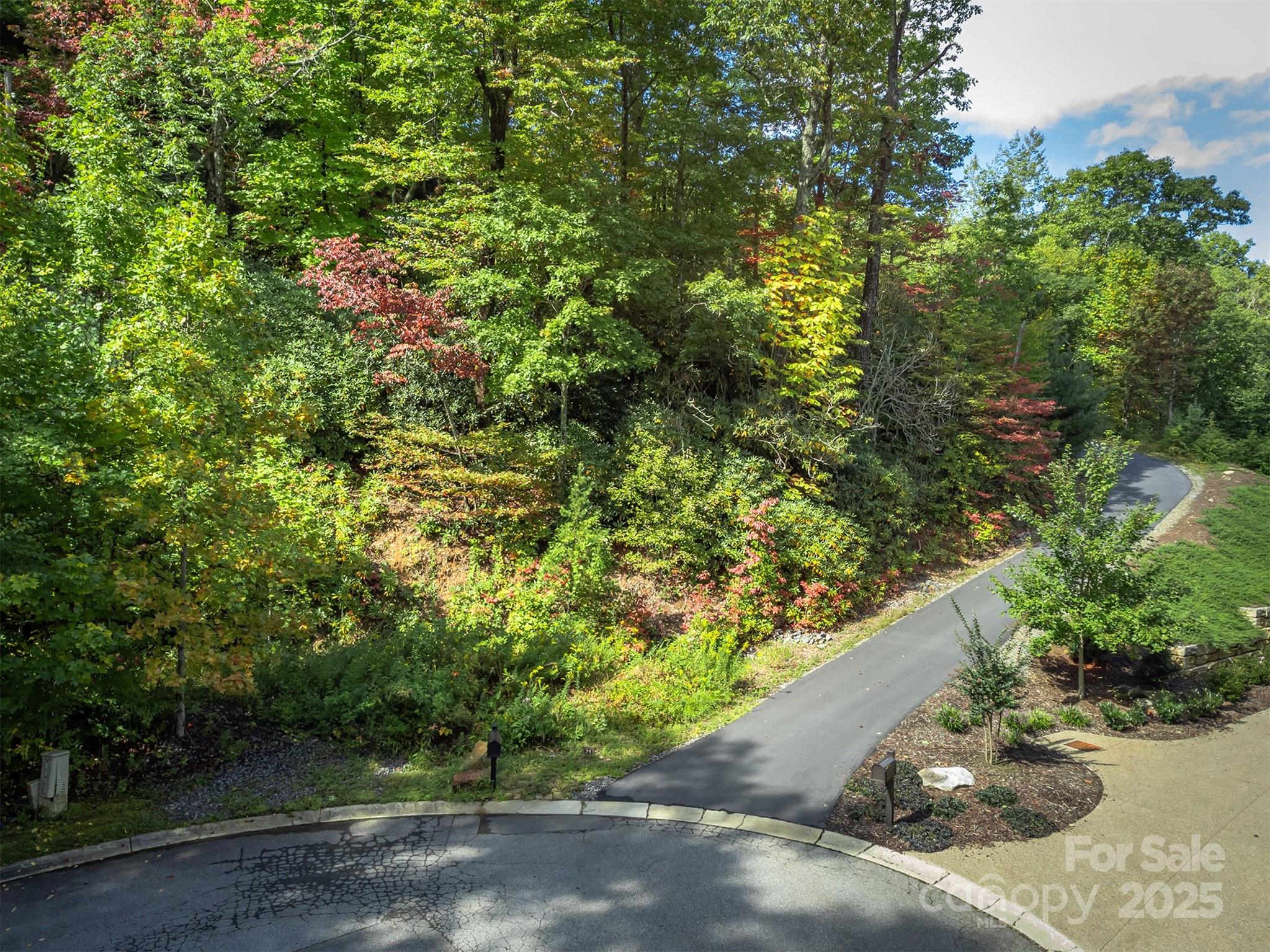 66 Sisters View Drive, Unit 159 Black Mountain, NC 28711 - Photo 7 of 35 a view of a garden with plants