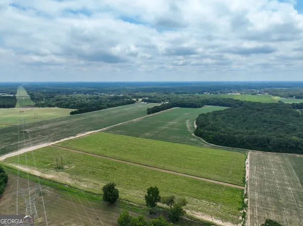 $875,000 | 0 Highway 42, Byron, GA 31008