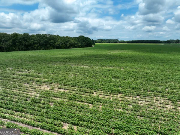 $875,000 | 0 Highway 42, Byron, GA 31008