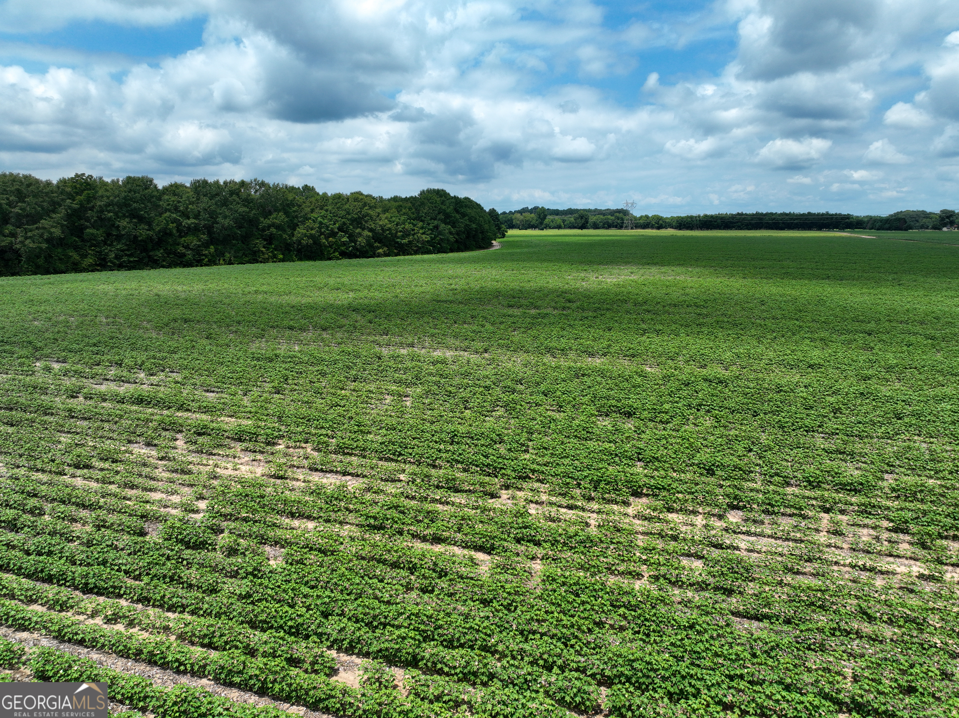 0 Highway 42 Byron, GA 31008 - Photo 6 of 8