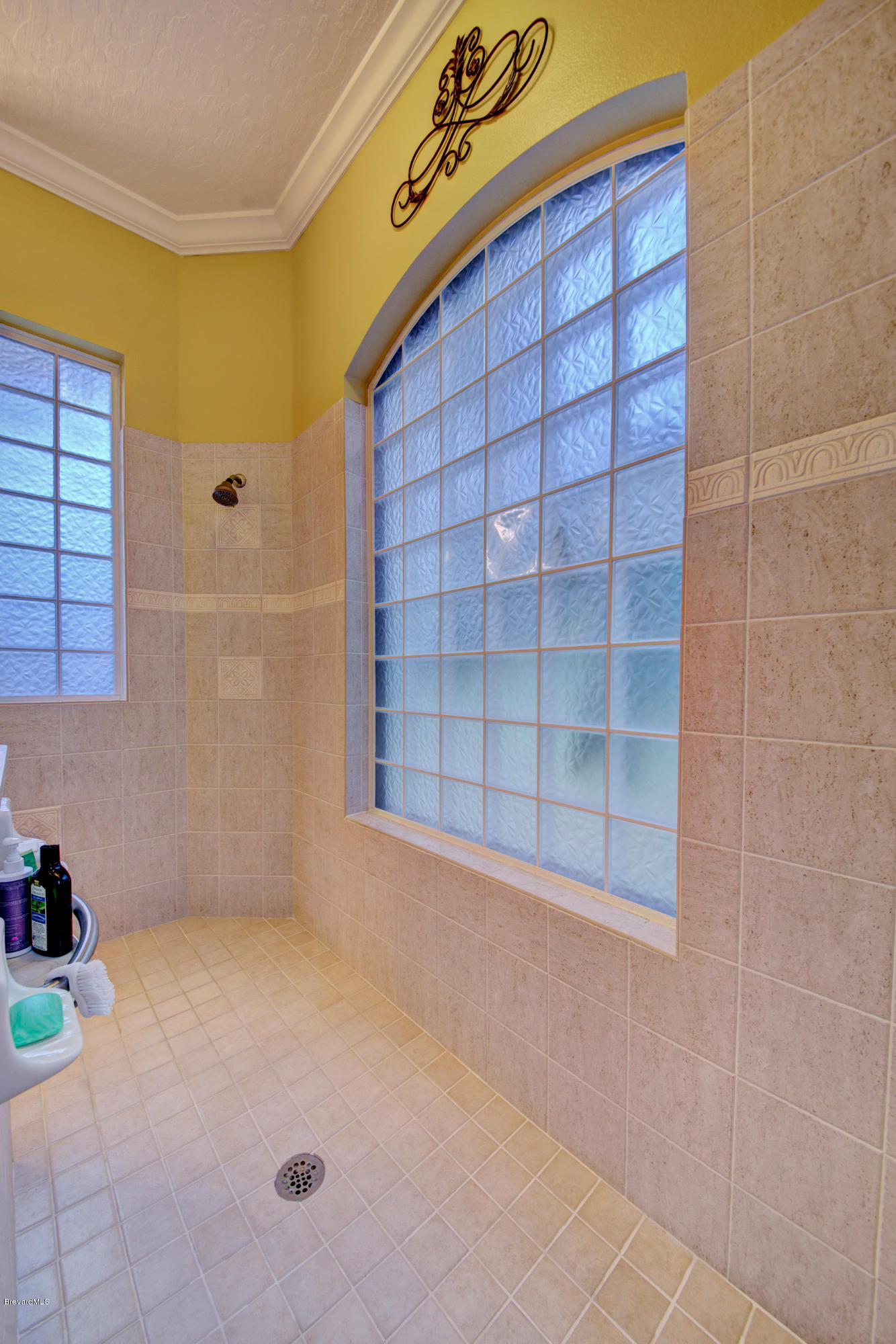 3965 Waterford Drive Rockledge, FL 32955 - Photo 23 of 50 Walk-in Shower