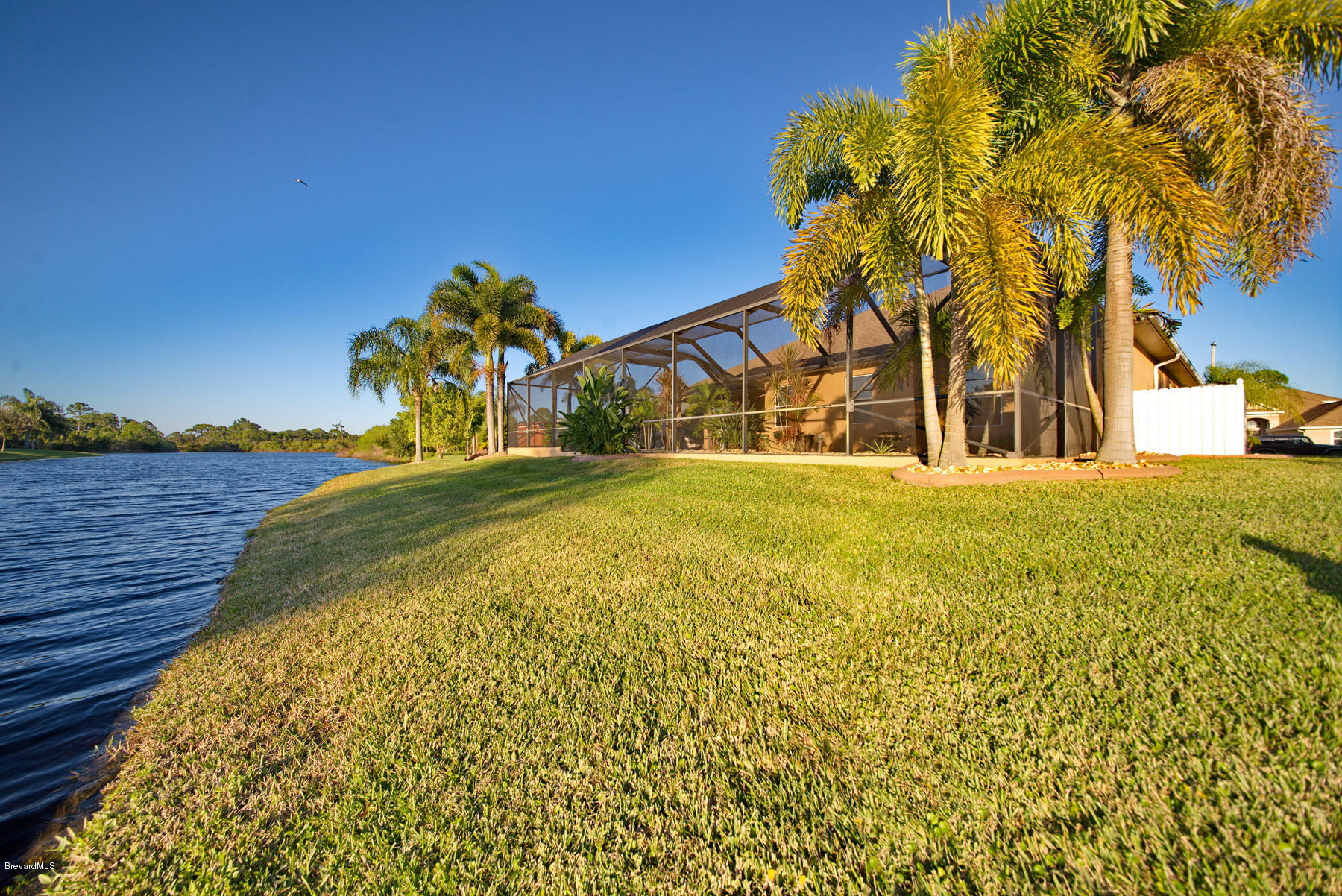 3965 Waterford Drive Rockledge, FL 32955 - Photo 49 of 50 Backyard