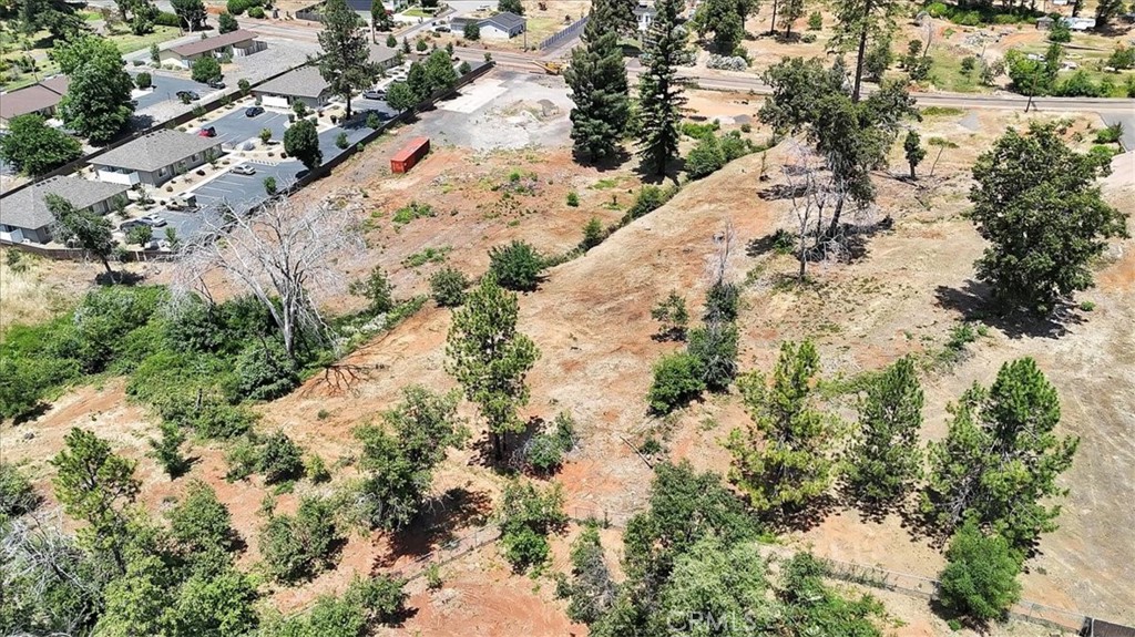1020 Elliott Road Paradise, CA 95969 - Photo 12 of 20 a view of a forest with trees