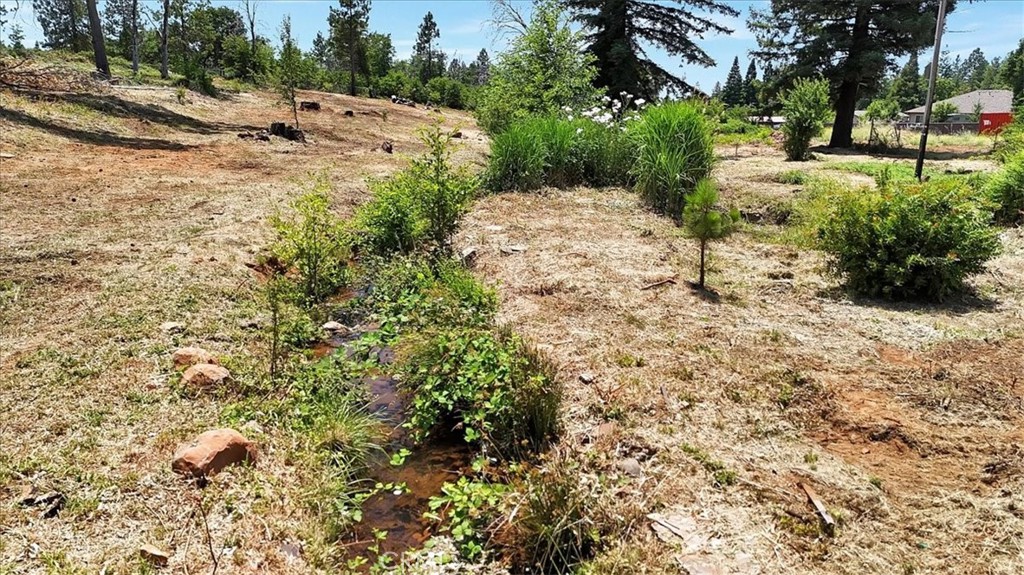 1020 Elliott Road Paradise, CA 95969 - Photo 19 of 20 a view of a yard with plants