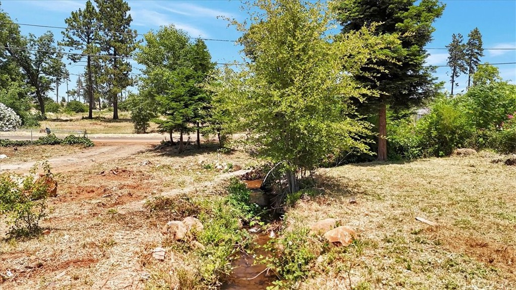1020 Elliott Road Paradise, CA 95969 - Photo 20 of 20 a view of a yard with trees
