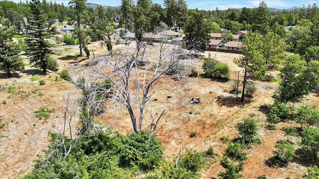 1020 Elliott Road Paradise, CA 95969 - Photo 2 of 20 a view of outdoor space with trees