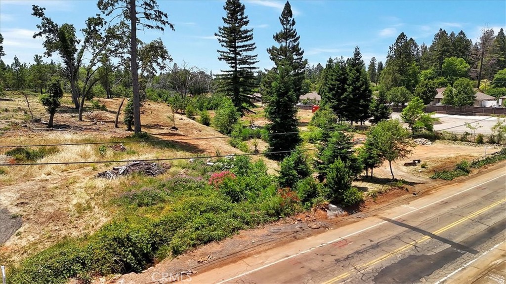 1020 Elliott Road Paradise, CA 95969 - Photo 4 of 20 a view of a yard with plants and trees