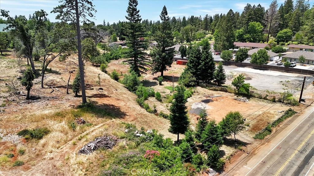 1020 Elliott Road Paradise, CA 95969 - Photo 5 of 20 a view of a yard with plants