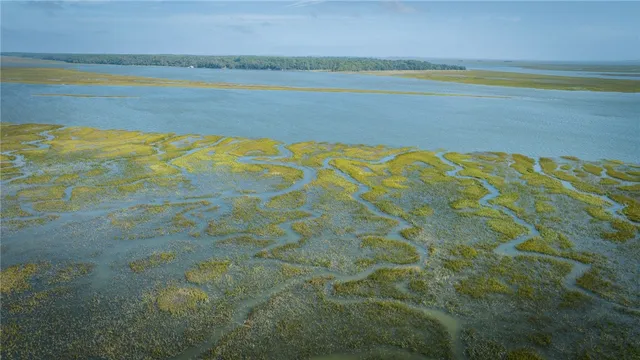 $235,000 | Lot 17 Phase Ii Sutherland Bluff Drive Northeast, Townsend, GA 31331