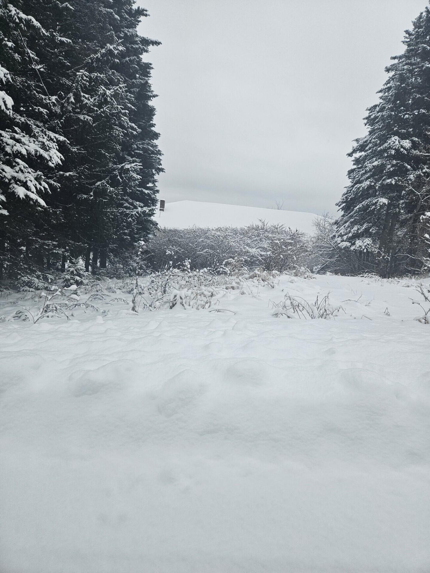 34 High Street Limestone, ME 04750 - Photo 2 of 2 34 High 02