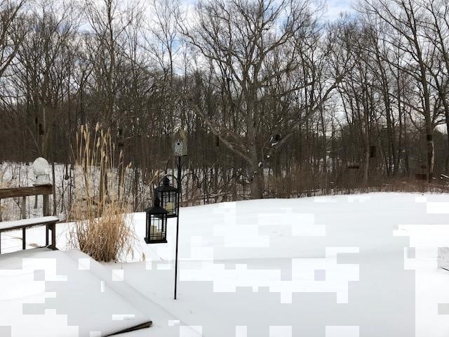 2431 Rhea Drive Flushing, MI 48433 - Photo 9 of 30 21563025-8.JPG