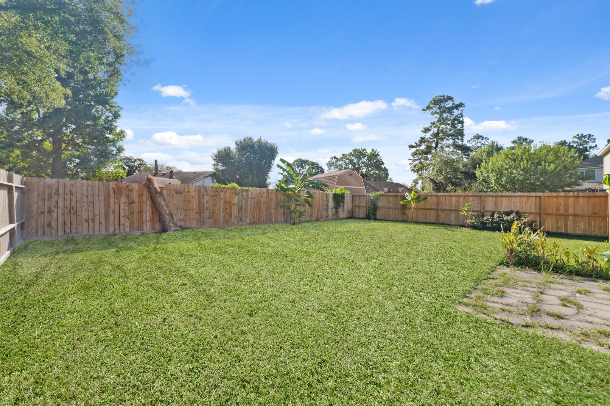 20410 Fall Foliage Drive Humble, TX 77338 - Photo 35 of 35 a view of a backyard with tree s