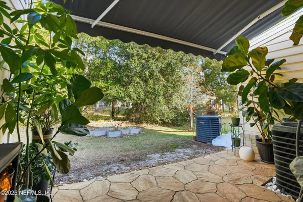 a view of a backyard with plants