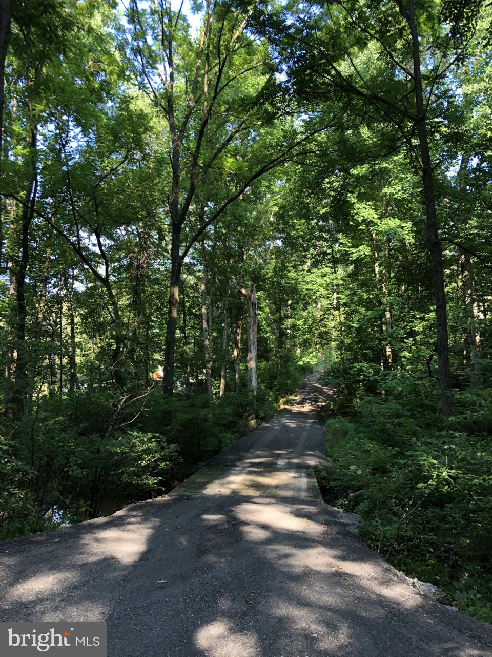 5050 Shaffer Mill Road Manchester, MD 21102 - Photo 4 of 8 a view of street view with trees