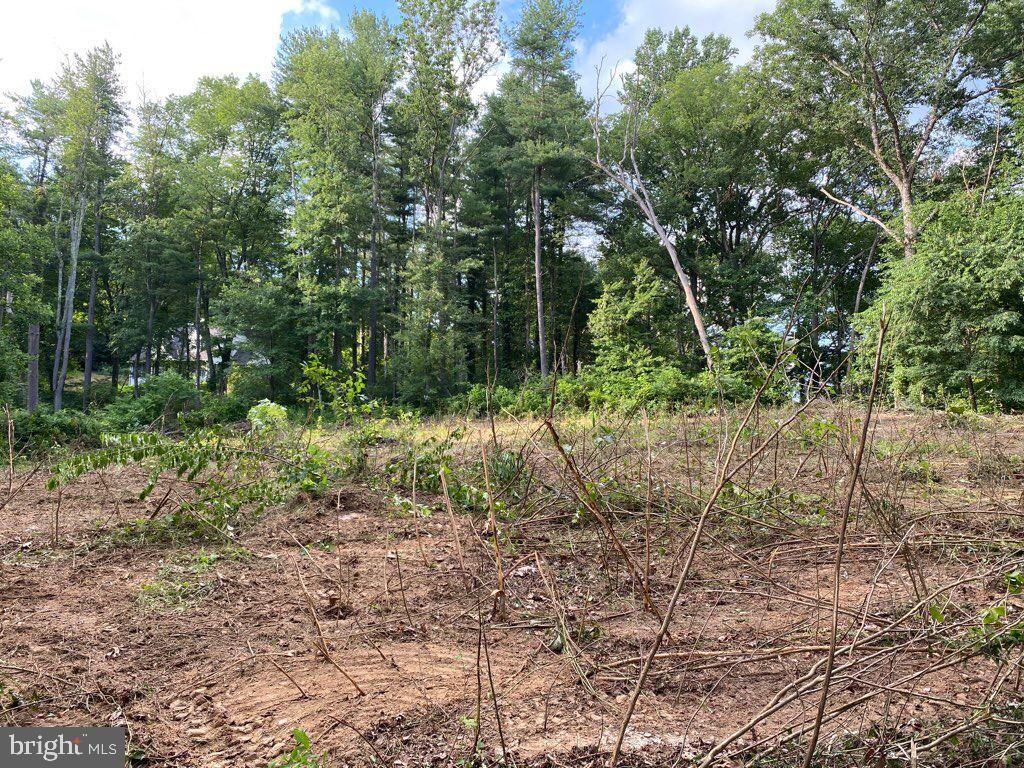 5050 Shaffer Mill Road Manchester, MD 21102 - Photo 8 of 8 a backyard of a house with lots of green space