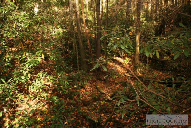 9700 Elk Creek Road Boone, NC 28607 - Photo 8 of 9 Gallery Image 8