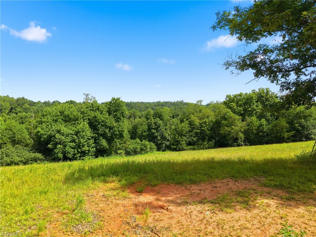 Tbd Harris Road Wilkesboro, NC 28697 - Photo 4 of 25