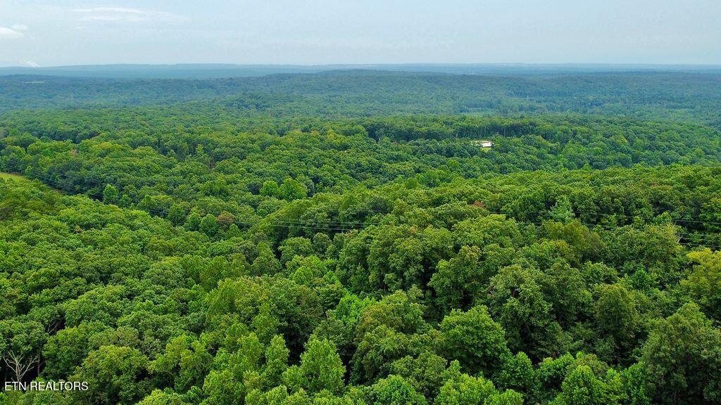 18.5-acres Raccoon Ridge Road Spring City, TN 37381 - Photo 23 of 37 13 racoon