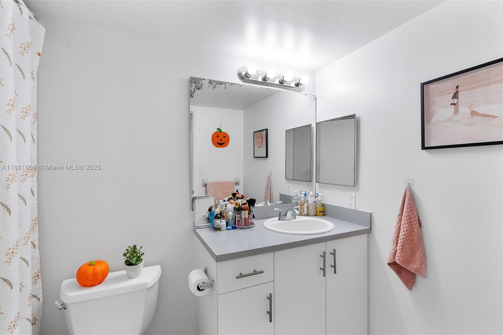 510 South Park Road, Unit 2510 Hollywood, FL 33021 - Photo 11 of 14 a bathroom with a sink and a mirror