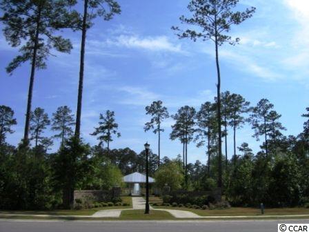 217 Low Country Loop Murrells Inlet, SC 29576 - Photo 3 of 10