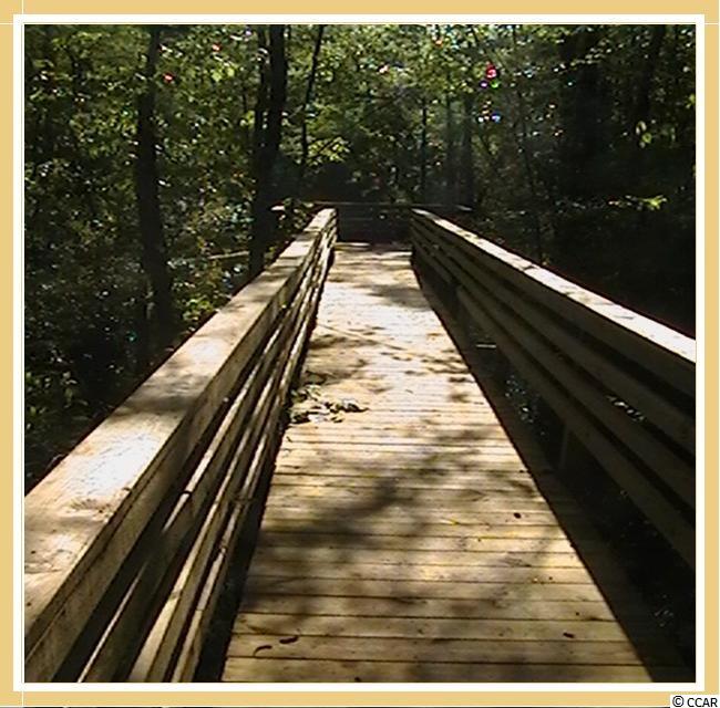 217 Low Country Loop Murrells Inlet, SC 29576 - Photo 8 of 10