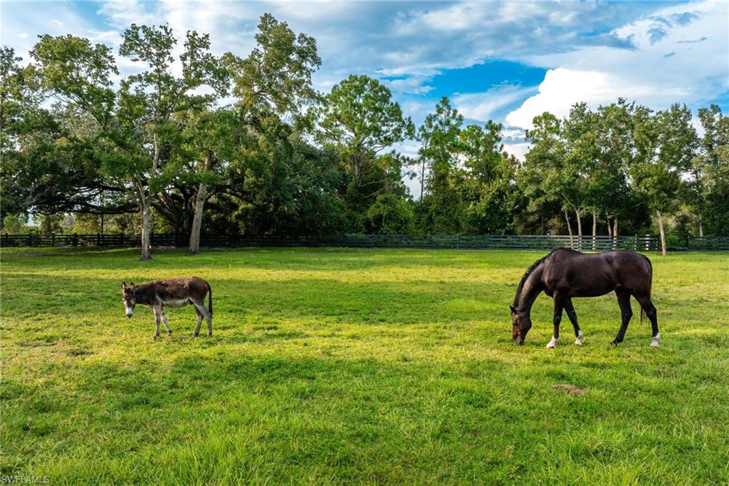 21531 North River Road Alva, FL 33920 - Photo 24 of 46