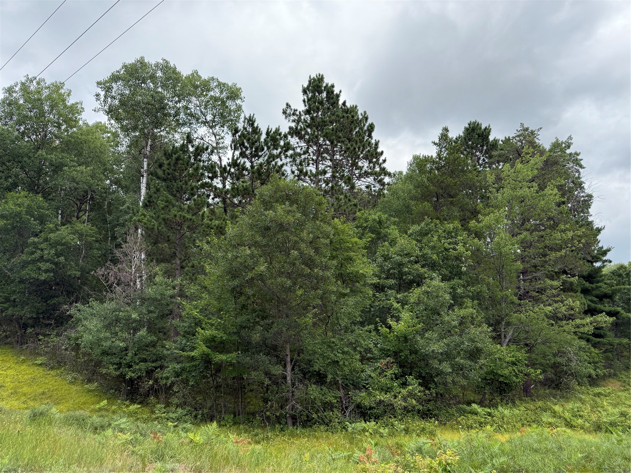 Lot 56 George Lake Road Solon Springs, WI 54873 - Photo 5 of 6 Gallery Image 5