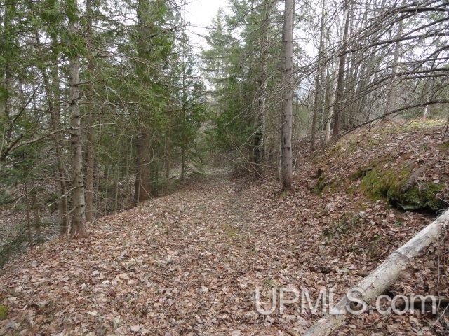 15398 Pequaming Road L'Anse, MI 49946 - Photo 35 of 36