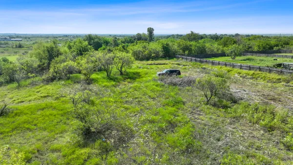 a view of a lush green forest with lots of trees