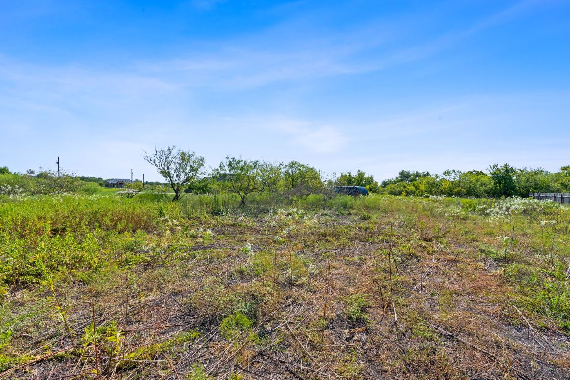 296 East Ridge Lane Kyle, TX 78640 - Photo 15 of 16 a view of a big yard with a large tree and plants