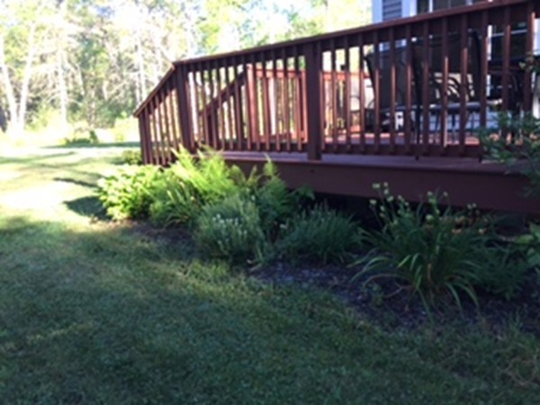 88 Fearing Hill Road Wareham, MA 02576 - Photo 22 of 29 a view of a backyard with plants