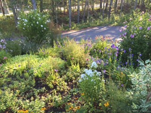 88 Fearing Hill Road Wareham, MA 02576 - Photo 23 of 29 a view of a yard with plants and tree