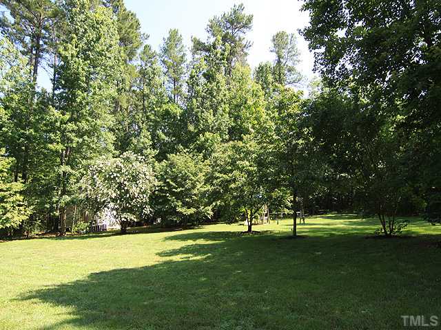 115 Equestrian Chase Rougemont, NC 27572 - Photo 11 of 12 a view of field with trees