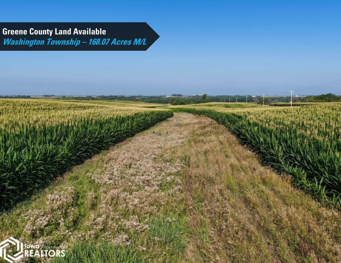Terrace Avenue Rippey, IA 50235 - Photo 15 of 26 Gallery Image 15