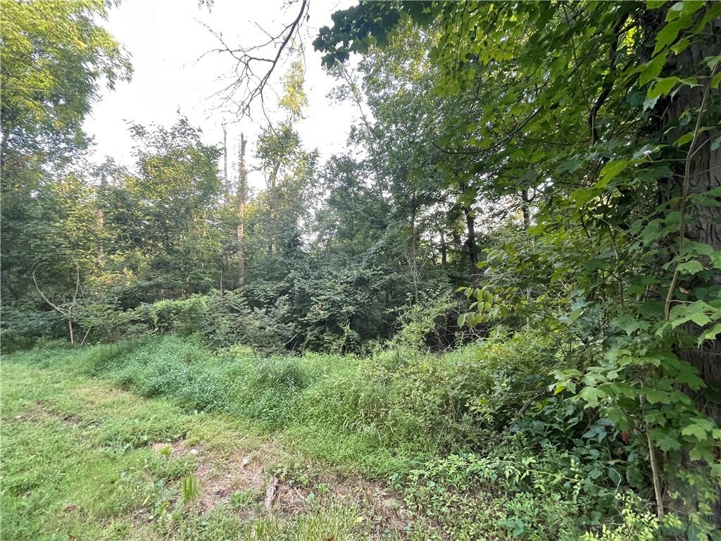0 Woodland Road McDonald, PA 15057 - Photo 6 of 8 Gallery Image 6
