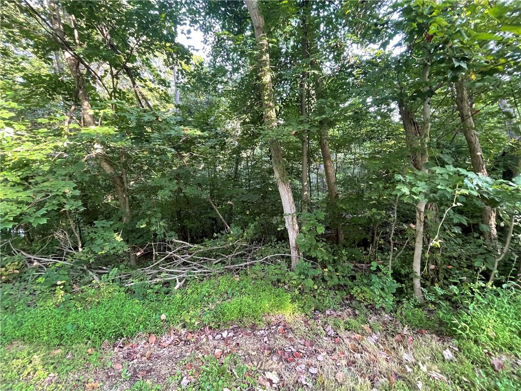 0 Woodland Road McDonald, PA 15057 - Photo 7 of 8 Gallery Image 7